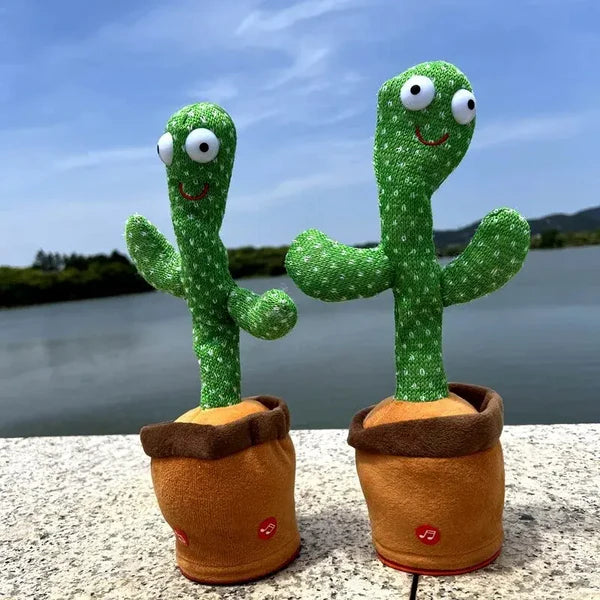 Cactus dançante